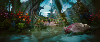 :    / Oz: The Great and Powerful (2013)