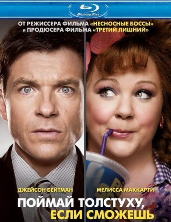  ,   / Identity Thief (2013)