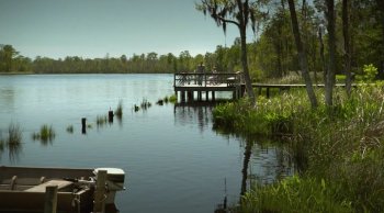  / Jessabelle (2014)