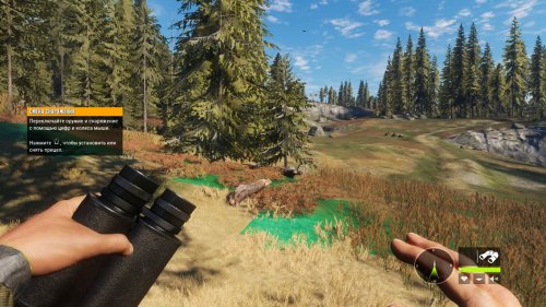 TheHunter: Call of the Wild (2017) PC | Repack  xatab