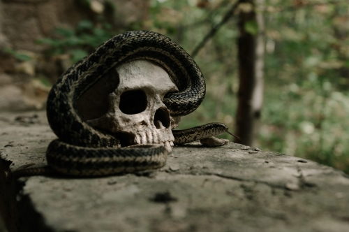 ����� ������. ���������� (2026)