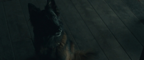 Убежище (2026) Убежище (2026)