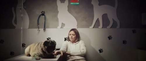 К себе нежно (2026) К себе нежно (2026)