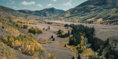 �����������: ������� (2026)