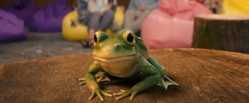 �������-������� (2025)